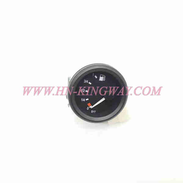 A250209000005 FUEL GAUGE (0～1)-DC24-IP20