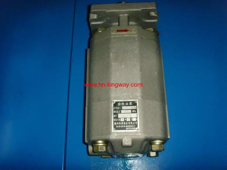 Split Flow Gear Pump