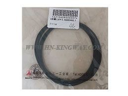 A210609000007 O-ring