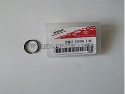 60122034 RING-PISTON