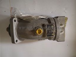 Hydraulic Motor-1010100030