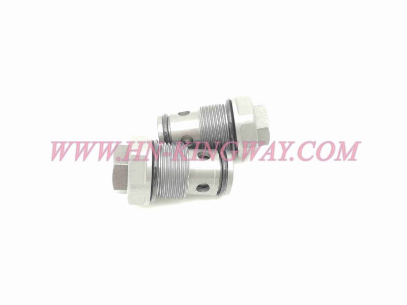 60209457 Check Valve DF10-01/0.N.05