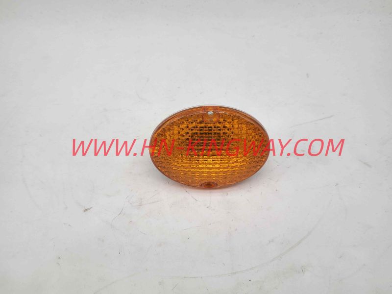 Turn signal   1020401100