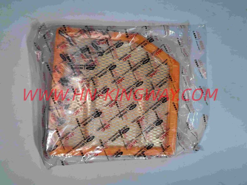 Air filter   1109130P3110